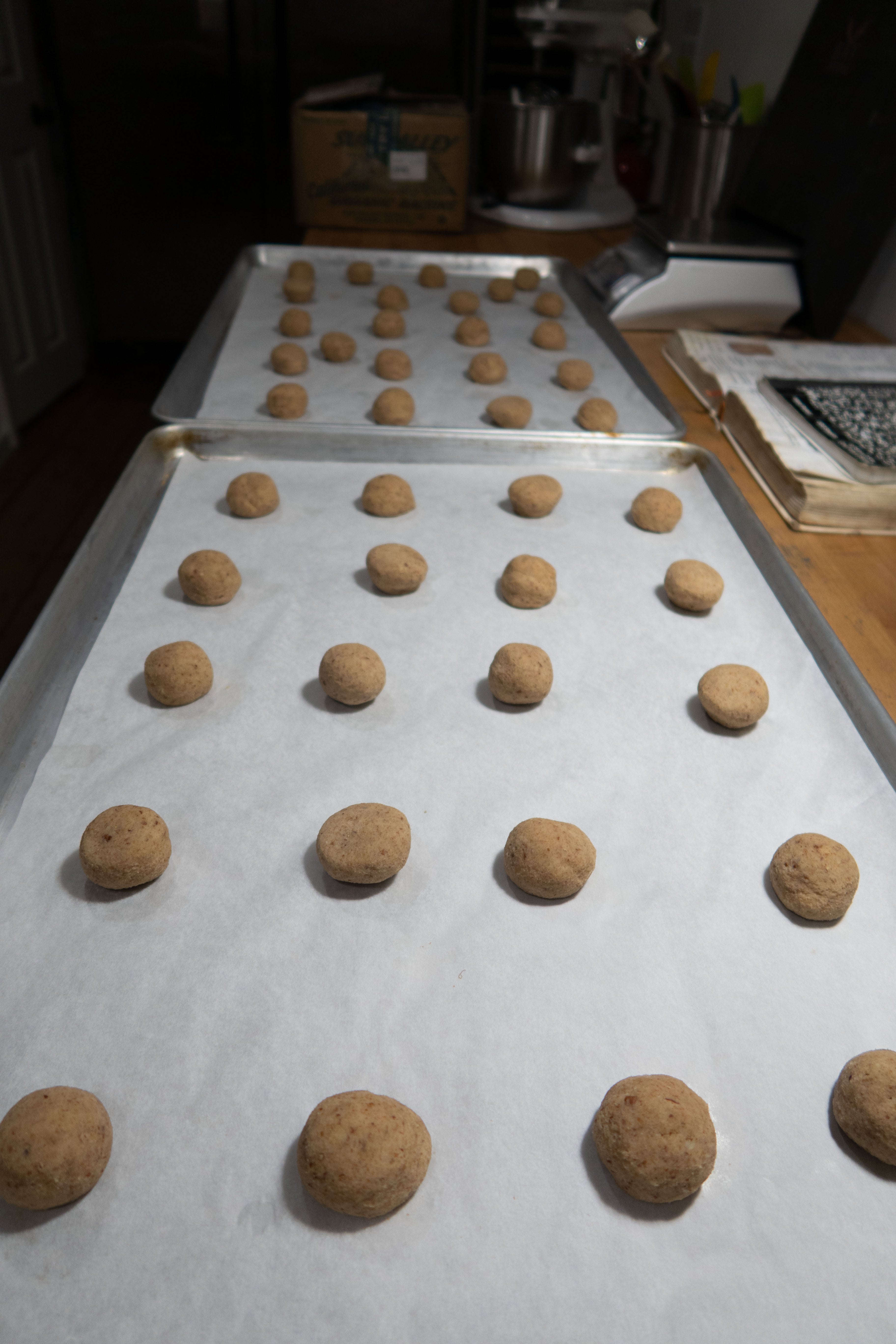 Mexican Wedding Cookies (Polvorones)