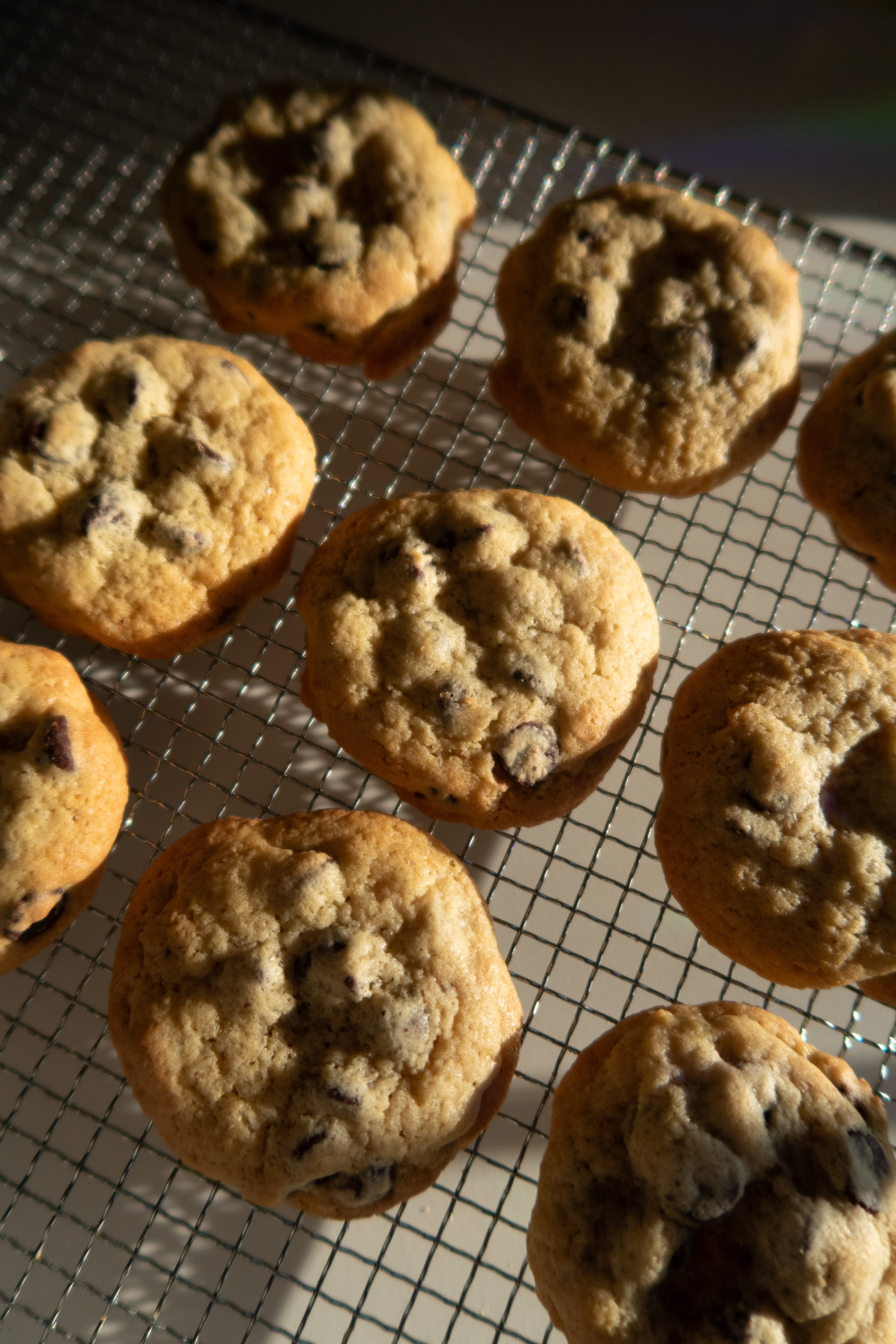 Chocolate Chip Cookies